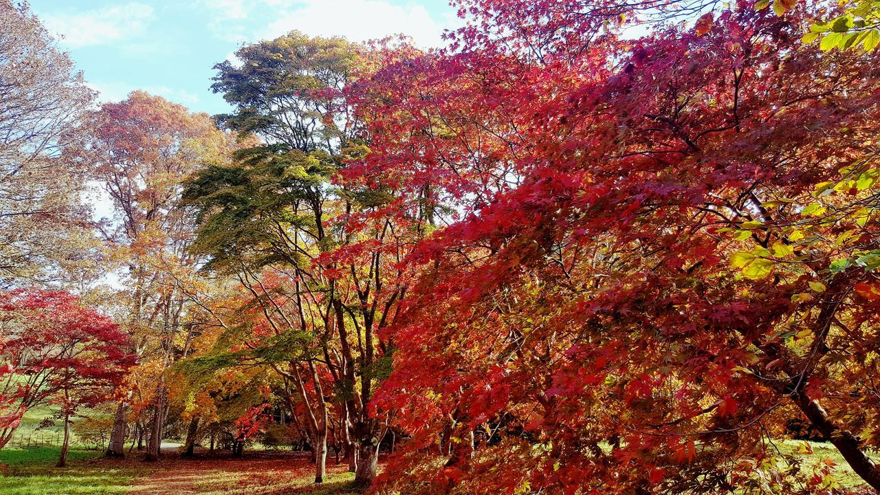 Bod Gwynedd Bed And Breakfast Betws-y-Coed Ngoại thất bức ảnh