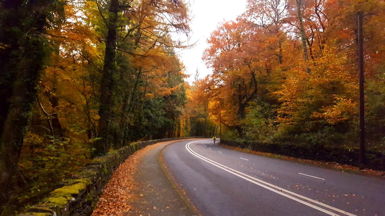 Bod Gwynedd Bed And Breakfast Betws-y-Coed Ngoại thất bức ảnh